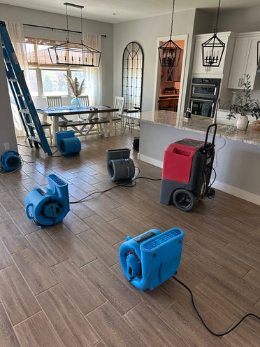 &lt;strong&gt;Faster Than a Bat&lt;/strong&gt;